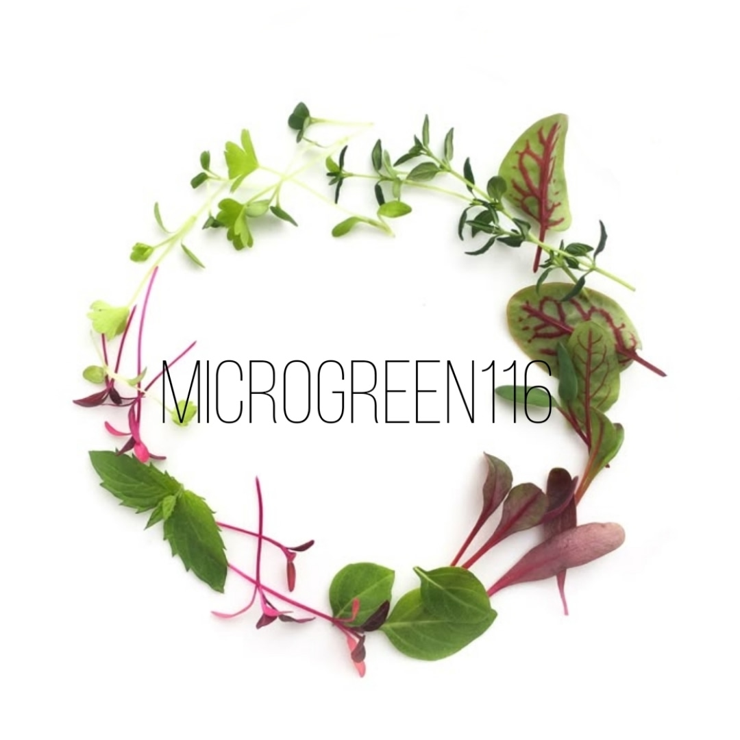 Микрозелень | Набережные Челны