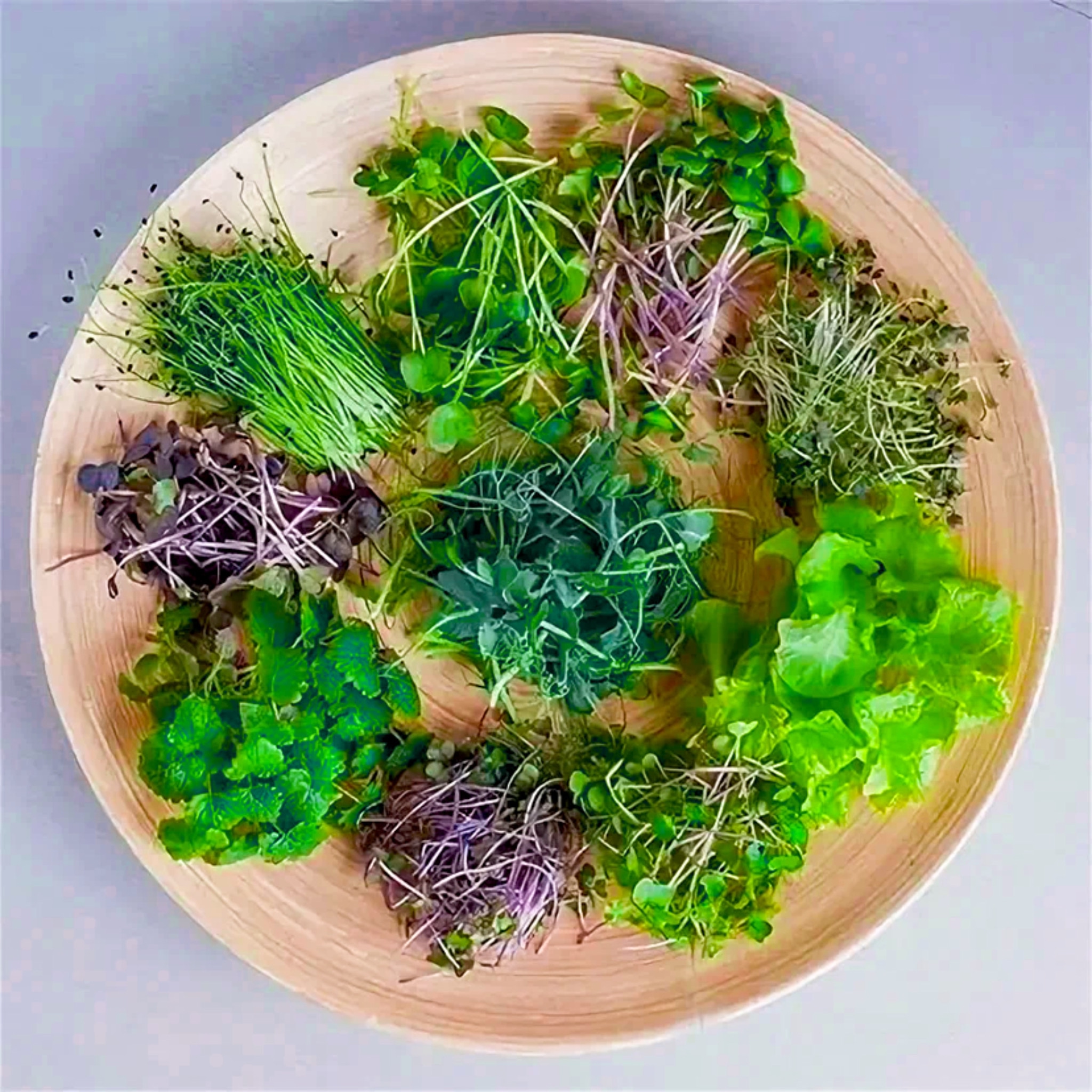 Ситифермер из Сибири. Владимир Свичеревский