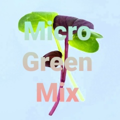 Micro-Green-Mix (Микрозелень)