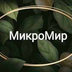 Микрозелень в Нижнем Тагиле. Green Shop.