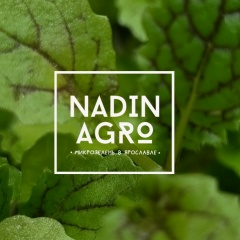 Микрозелень в Ярославле \ Ситиферма NadinAgro