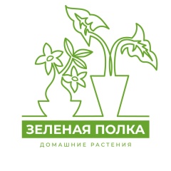 Зелёная полка