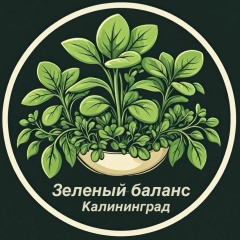 Зеленый Баланс/(Микрозелень - Калининград)