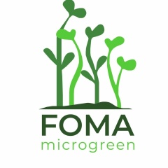 FOMA | ВИТГРАСС | МИКРОЗЕЛЕНЬ | КИРОВ
