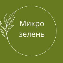 Микрозелень Тверь
