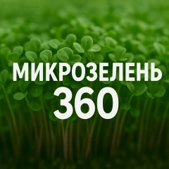 Микрозелень 360 (Чита)