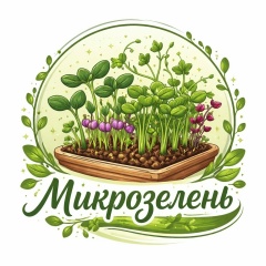 Микрозелень | Витграсс | г.Златоуст