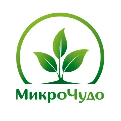 МикроЧудо | МикроЗелень
