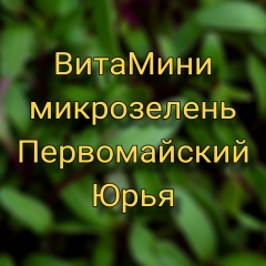 ВитаМини | микрозелень | Первомайский | Юрья