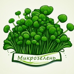МИКРОзелень • Пищевые цветы • Великий Новгород