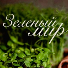 Микрозелень "Зелёный Мир", Севастополь