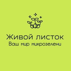 МИКРОЗЕЛЕНЬ Новосибирск ! ПОЛЕЗНЫЕ ростки!!