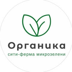 Микрозелень и проростки Нижневартовск | Органика