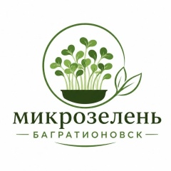 Микрозелень Багратионовск
