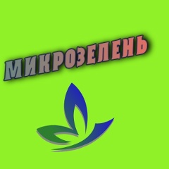 Микрозелень: Здоровье в каждом листочке