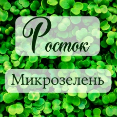 Микрозелень Смоленск "Росток"