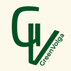 Green Volga